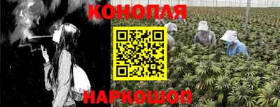 стафф Беслан