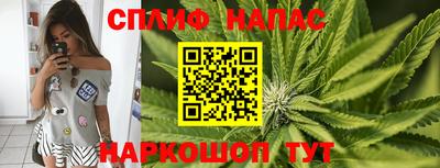 стаф Бийск
