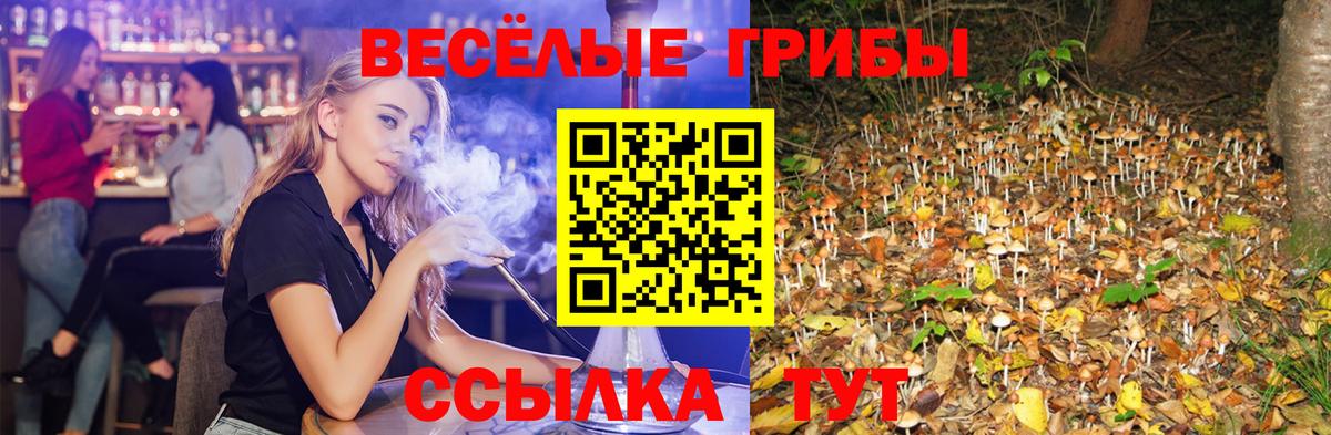 Галлюциногенные грибы GOLDEN TEACHER  наркота  Кириши  Псилоцибиновые грибы Magic Shrooms  Вход с VPN 