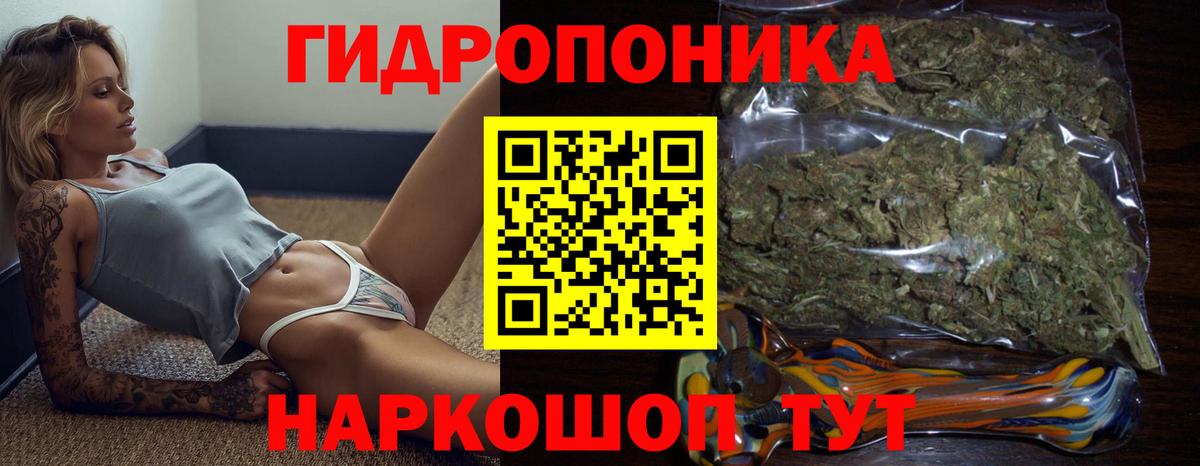 Бошки Шишки VHQ  Марихуана тримм  Кириши  Марихуана марихуана  Вход с VPN 